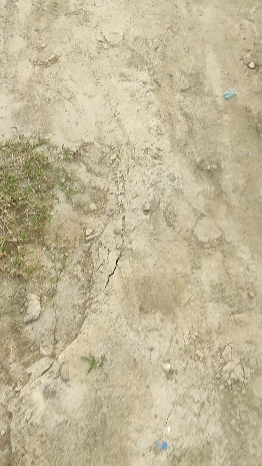 @North Bengal