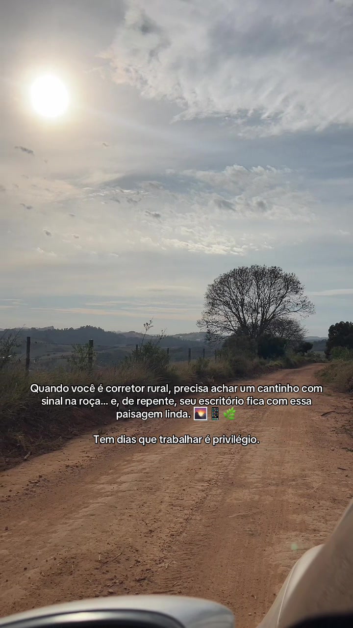 @fernando souza