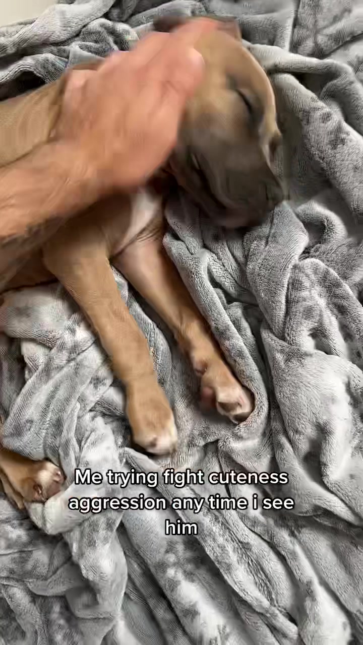 @lifeofpacoo