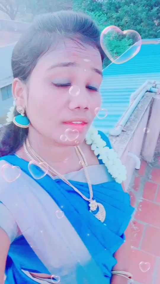 @Elaks_meow
