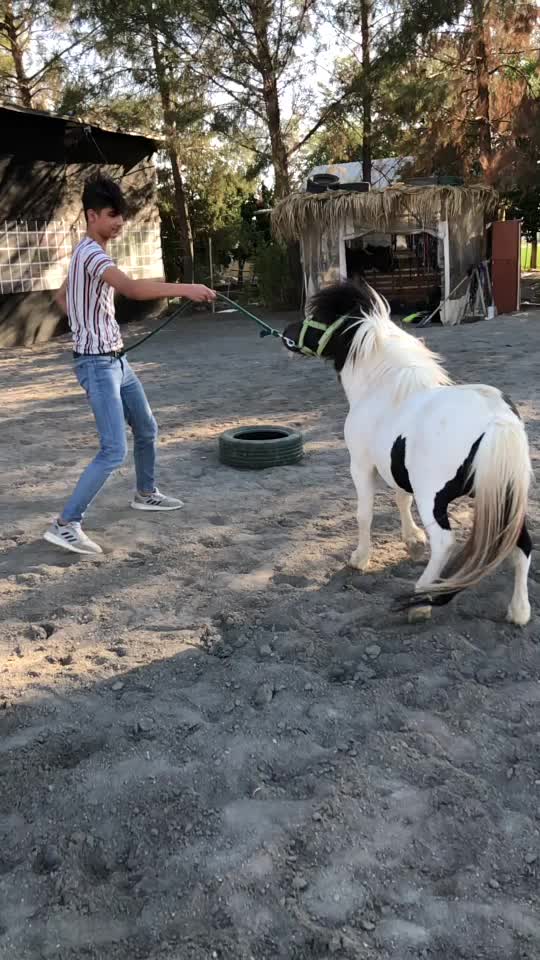 @Ismail Yıldız