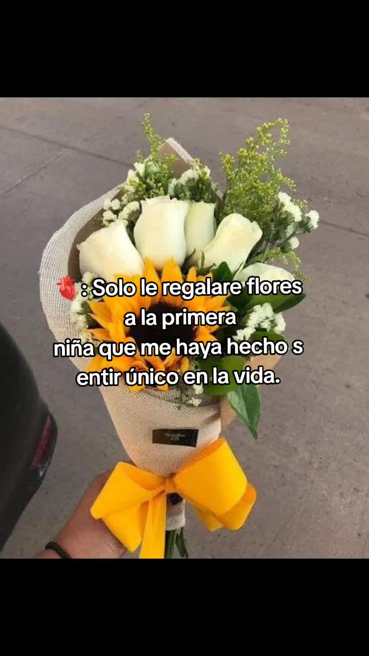 @Leonel Moreno