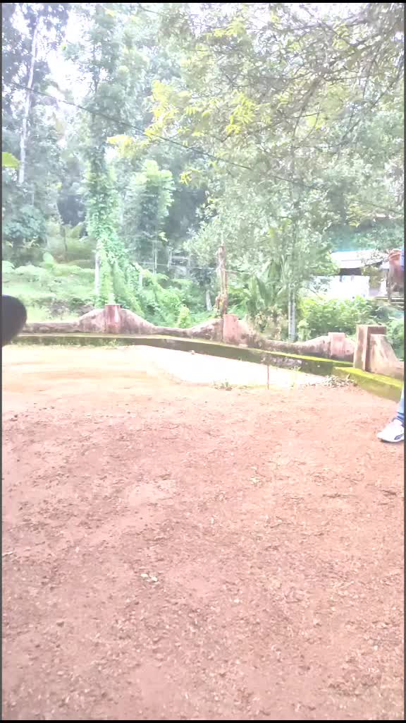 @shivettan3