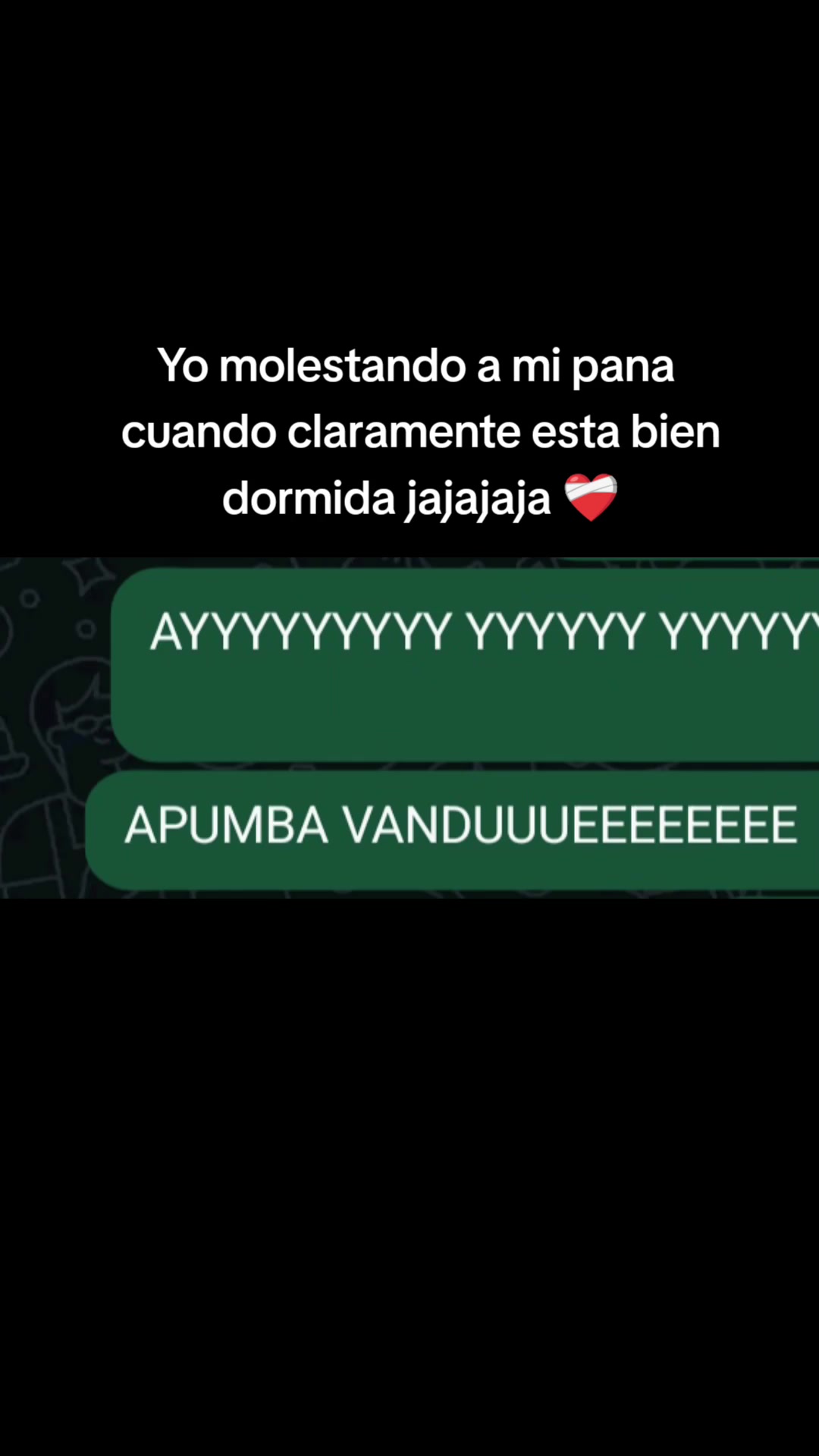 @chicabi.potter
