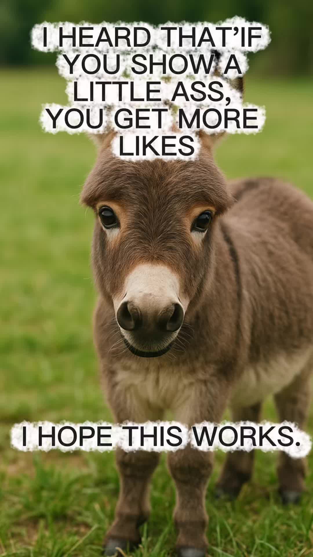 @babiebluz