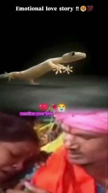 @🥰😊 Funny 😍Star😊😊😋