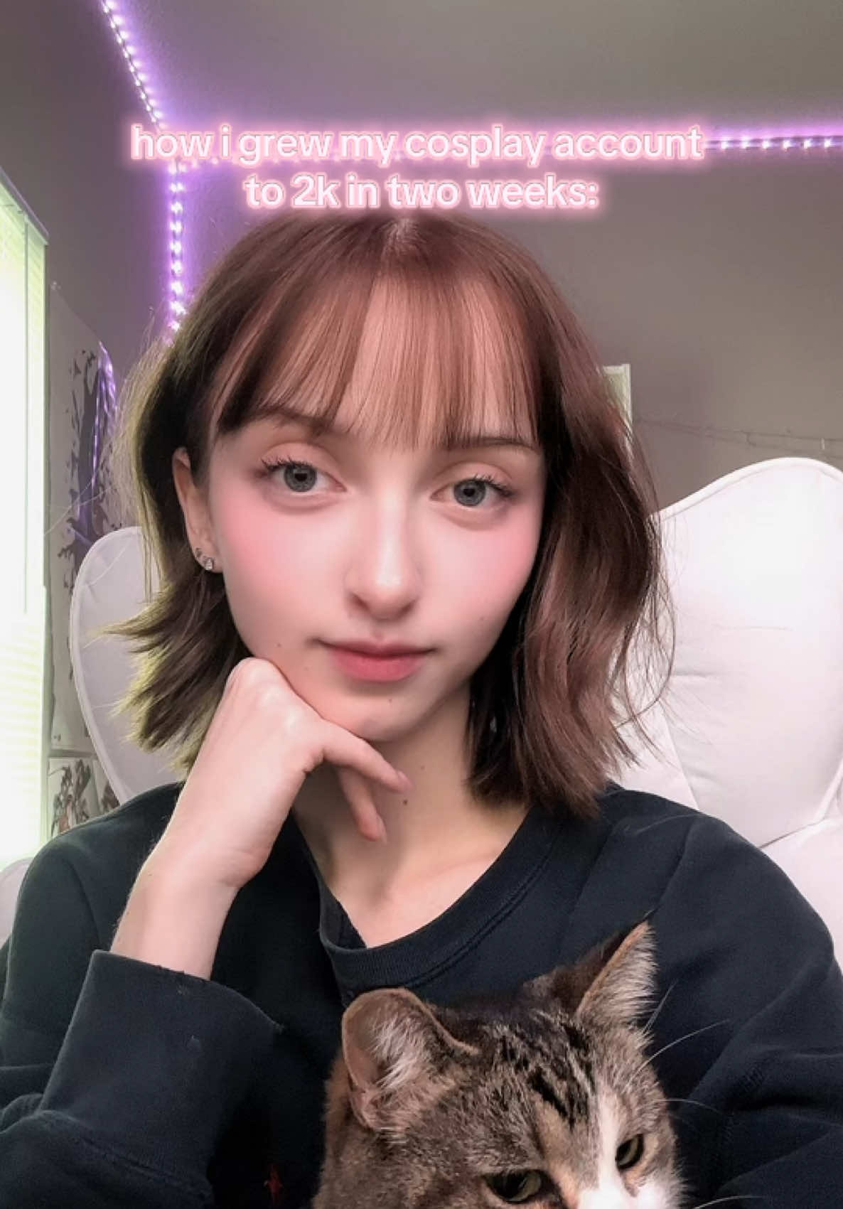 @jaimosaur