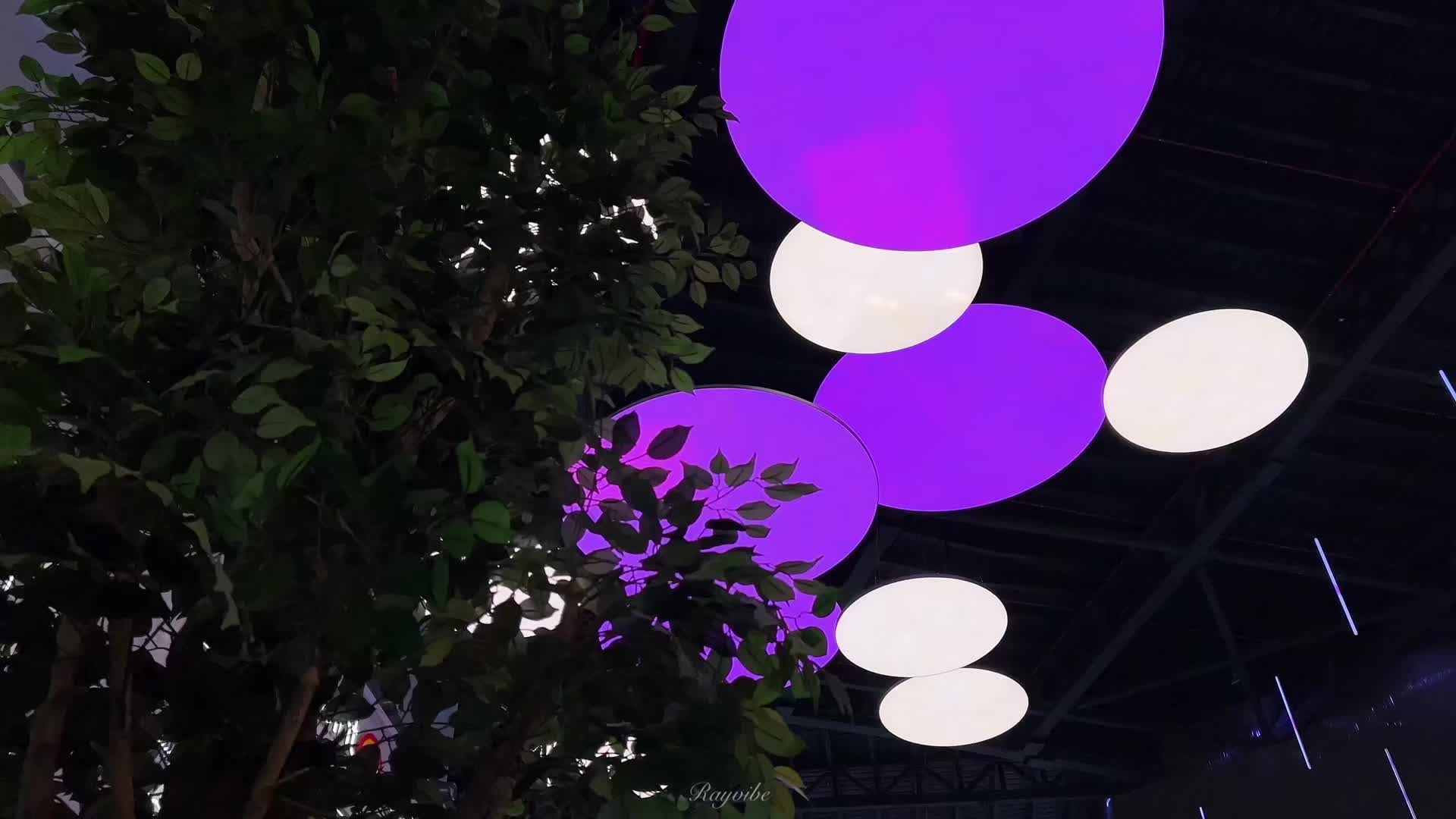 @rayvibe