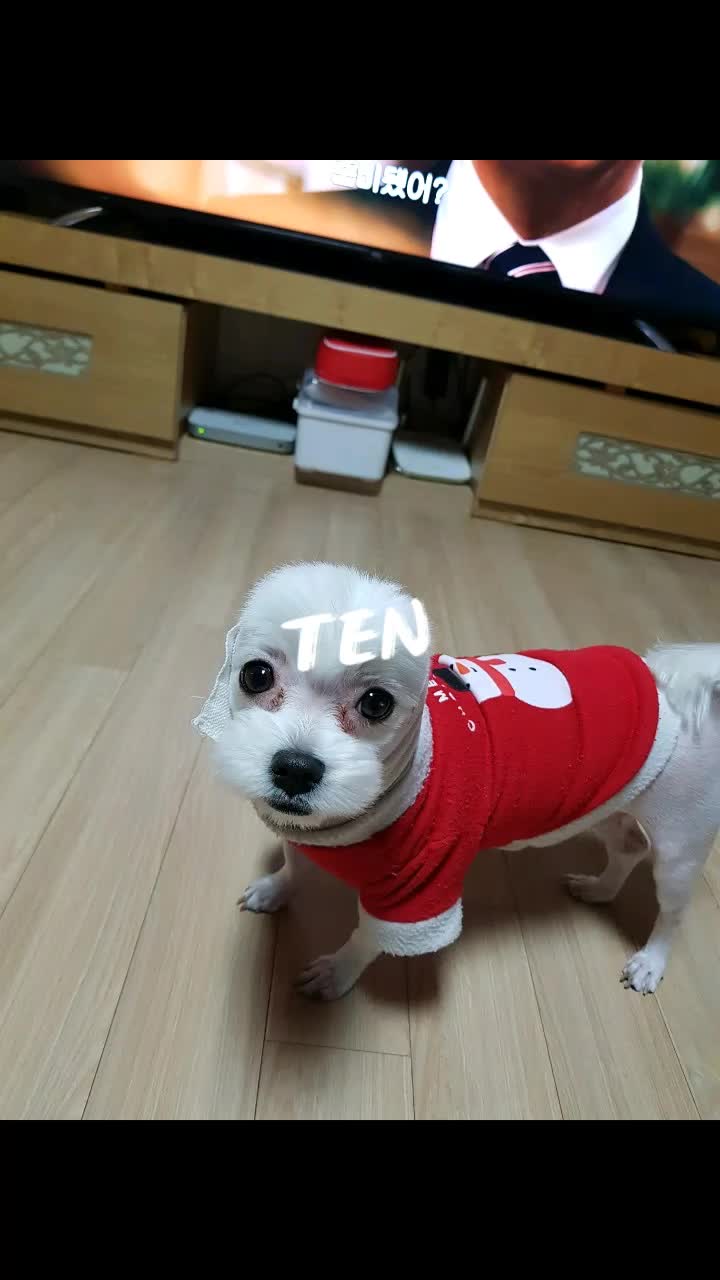 @큐튜버