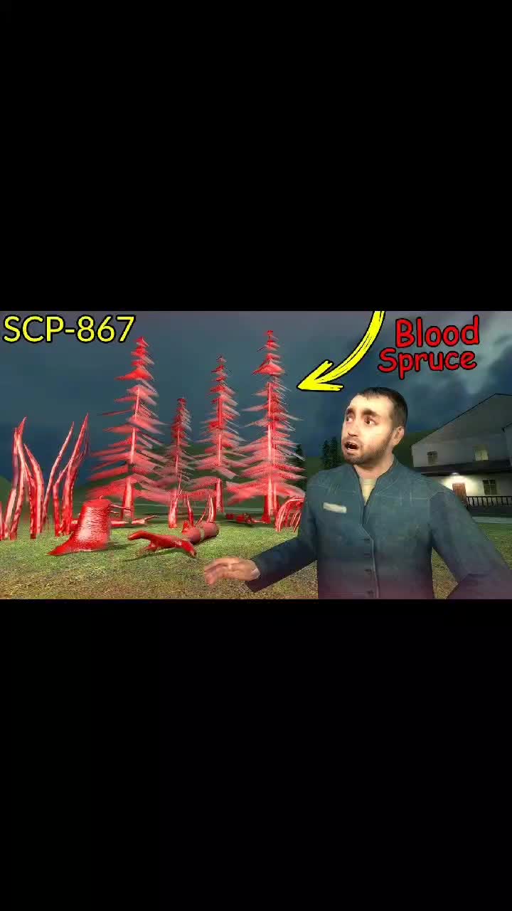 @♥️SCP♠️