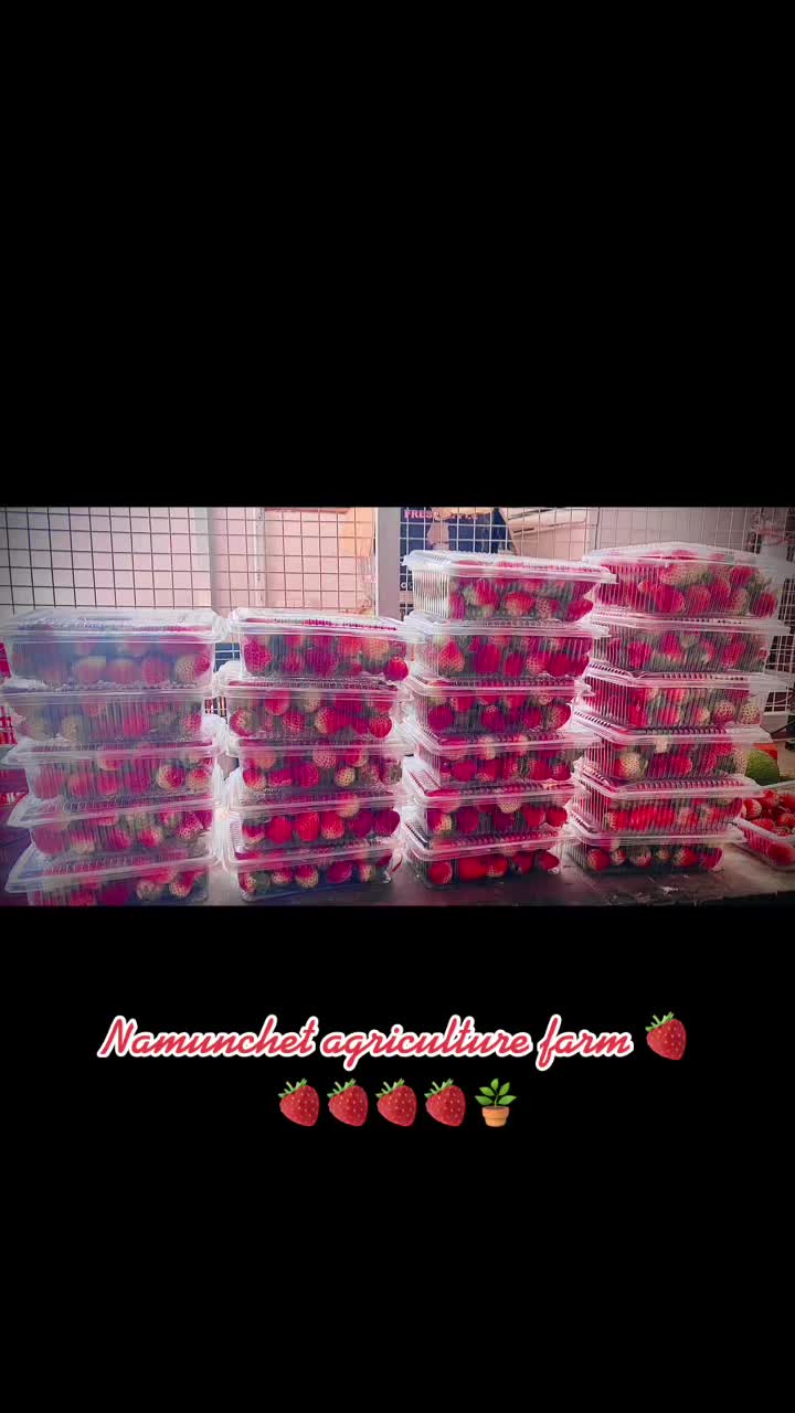 @kakani strawberry 🇳🇵🇳🇵