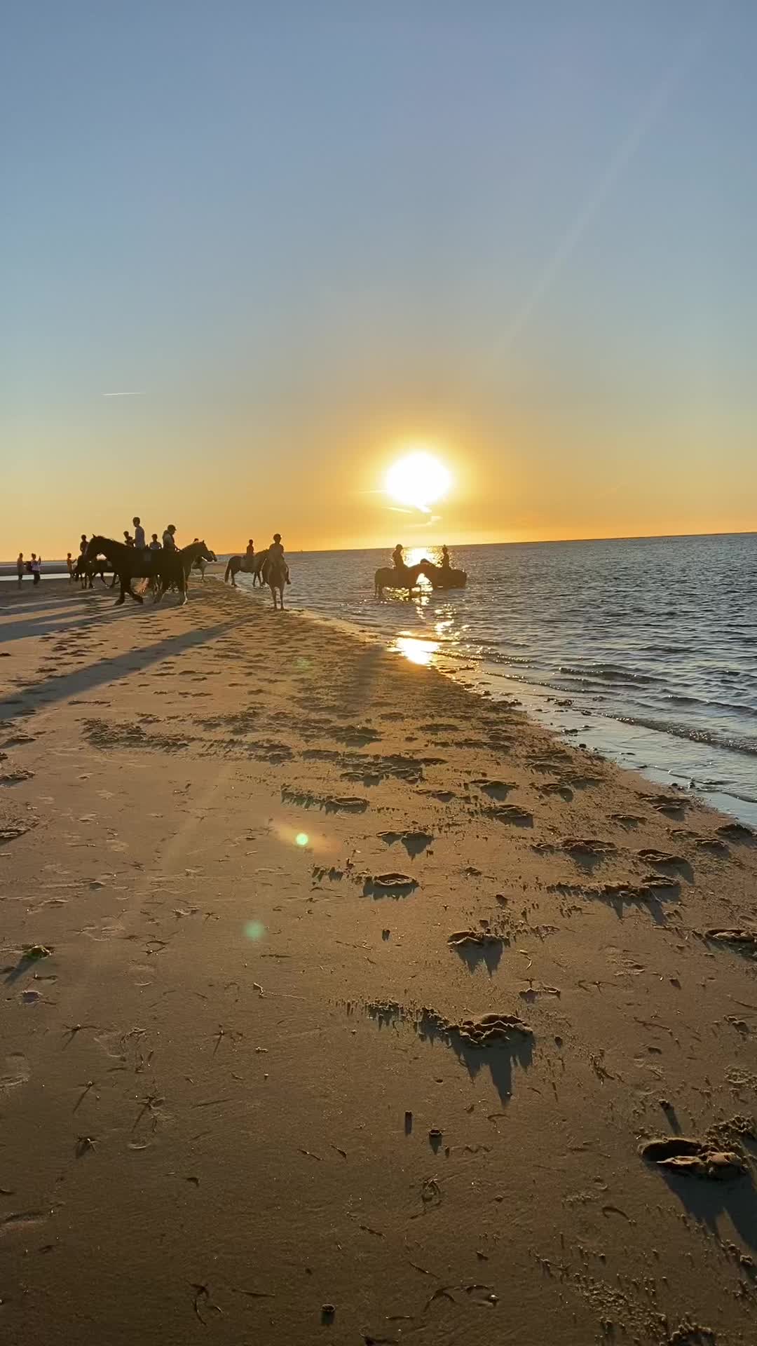 @reiterhof.andresen.amrum