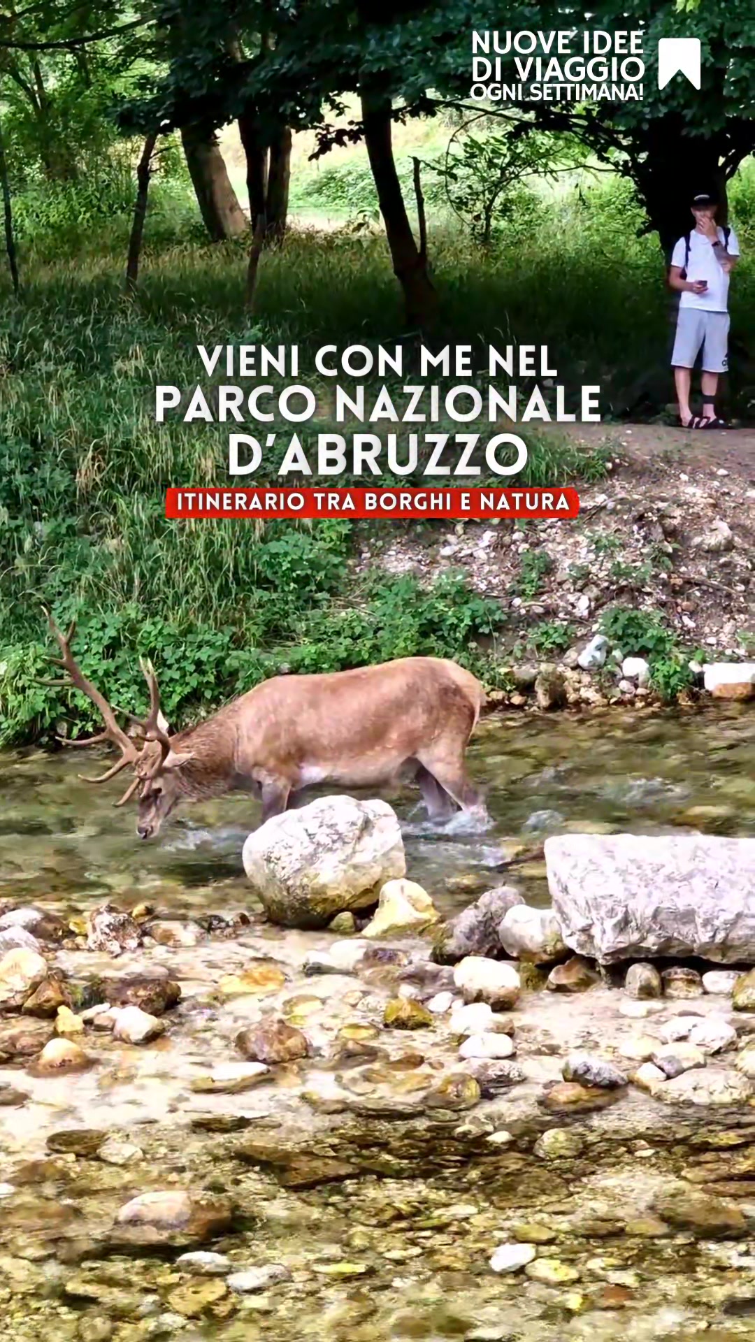 @luoghidavedere