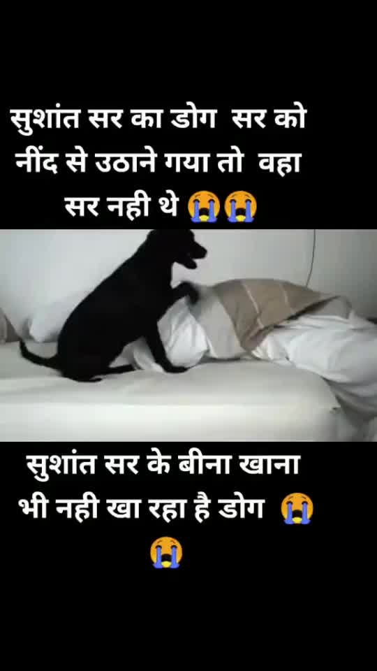 @🌻...आदर्श बेन...🌻