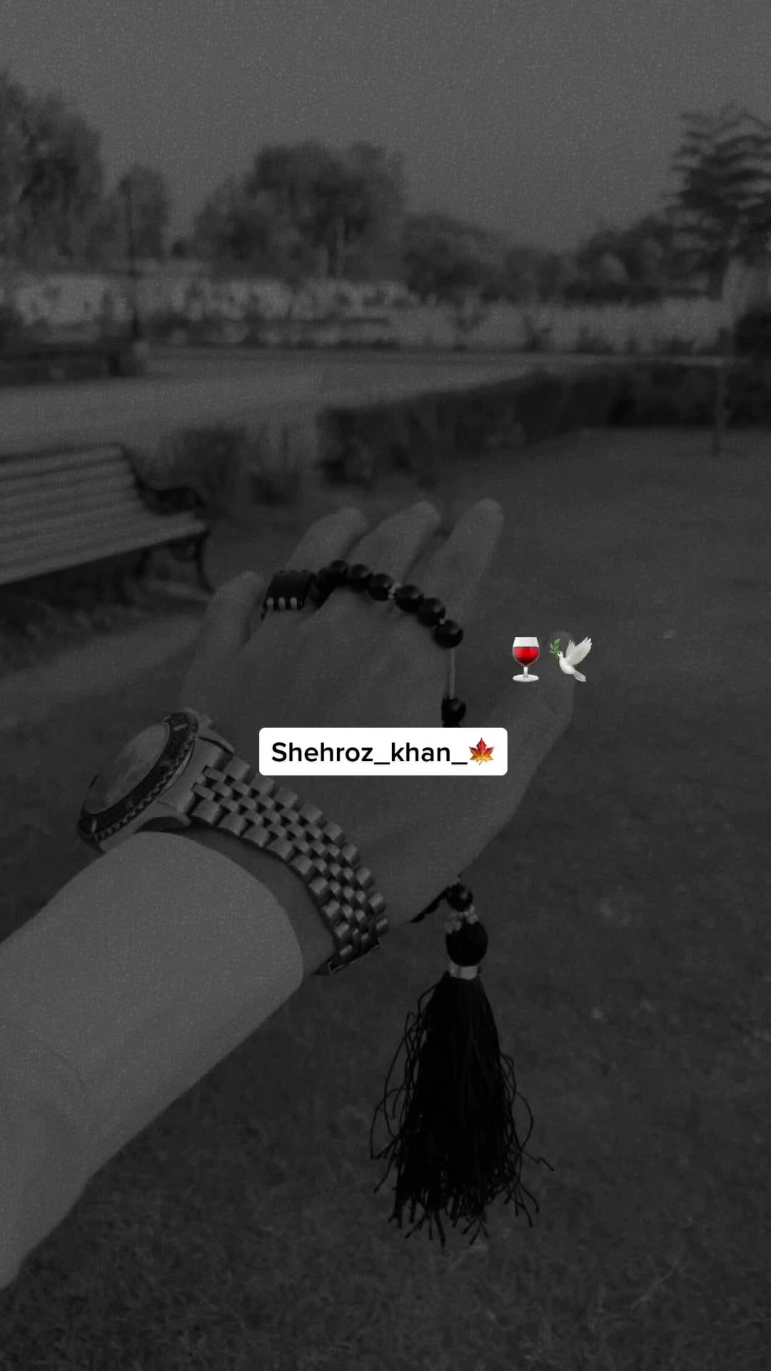 @Shehroz KhaN_🍁