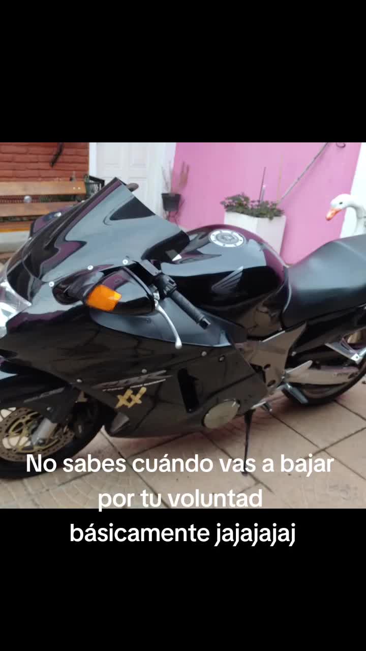 @Niko Mazzitelli