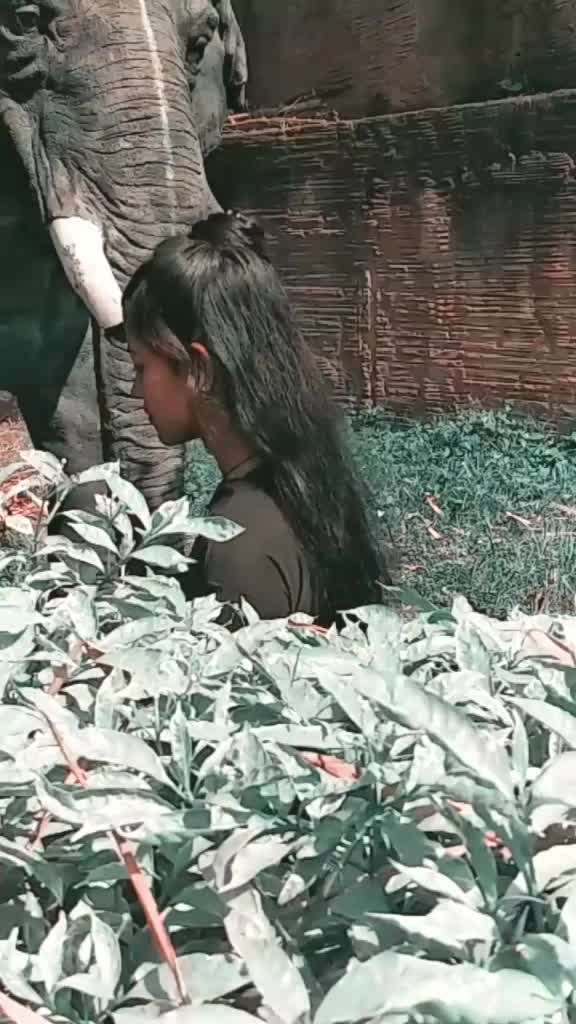 @🦋নিষ্য আকাশের রং🦋