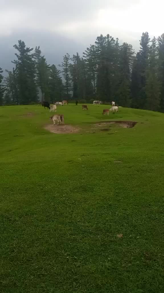 @humzajabbar281