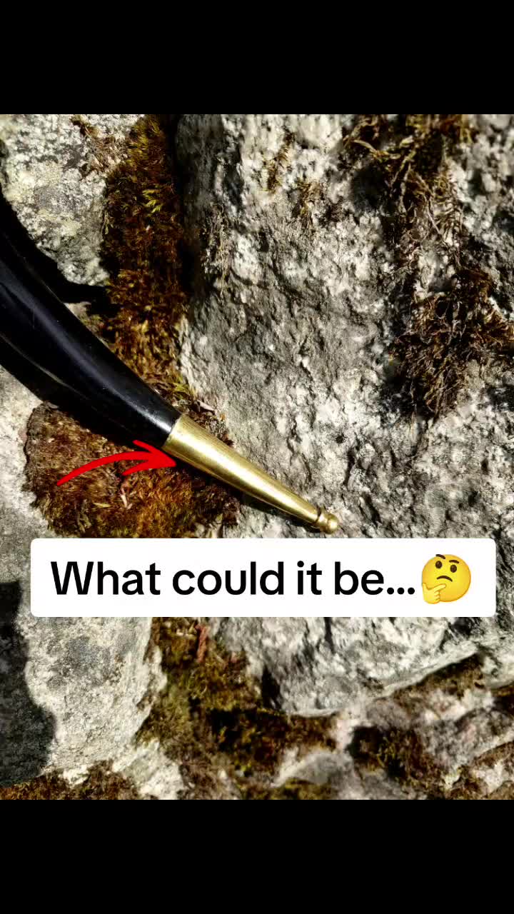 @Sebastian Holmkvist