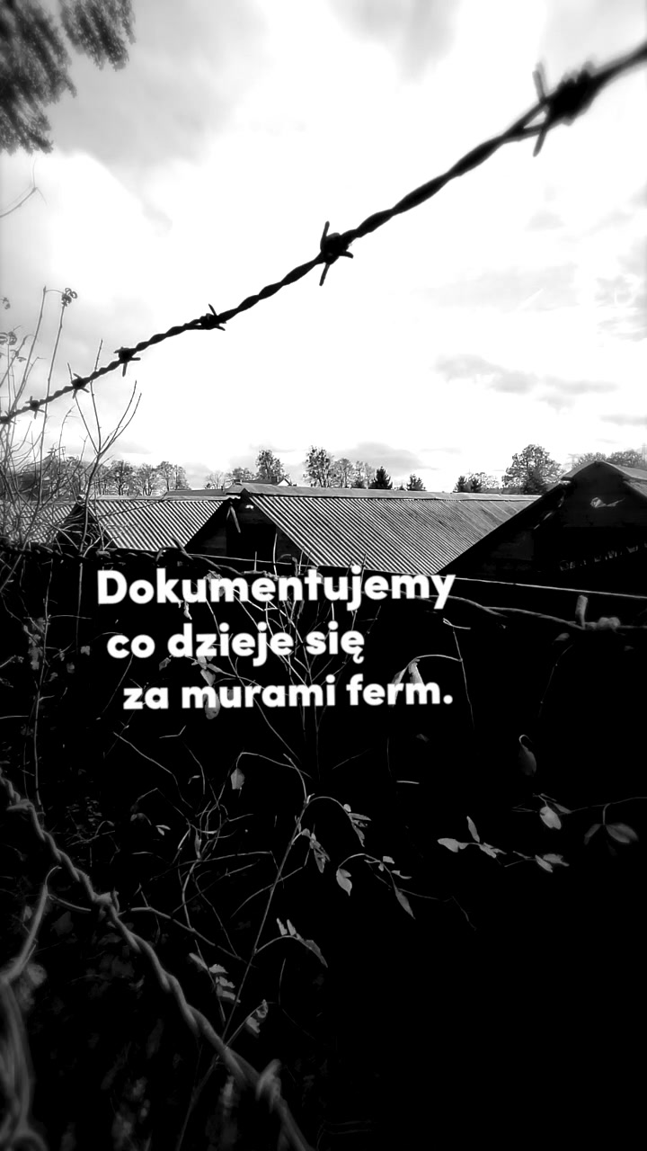 @Stopklatka Viva!
