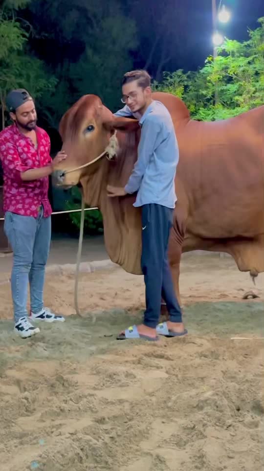 @Sheraz Shahid
