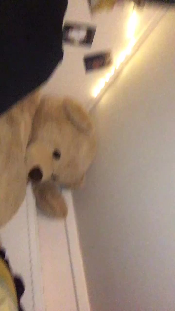 @ت