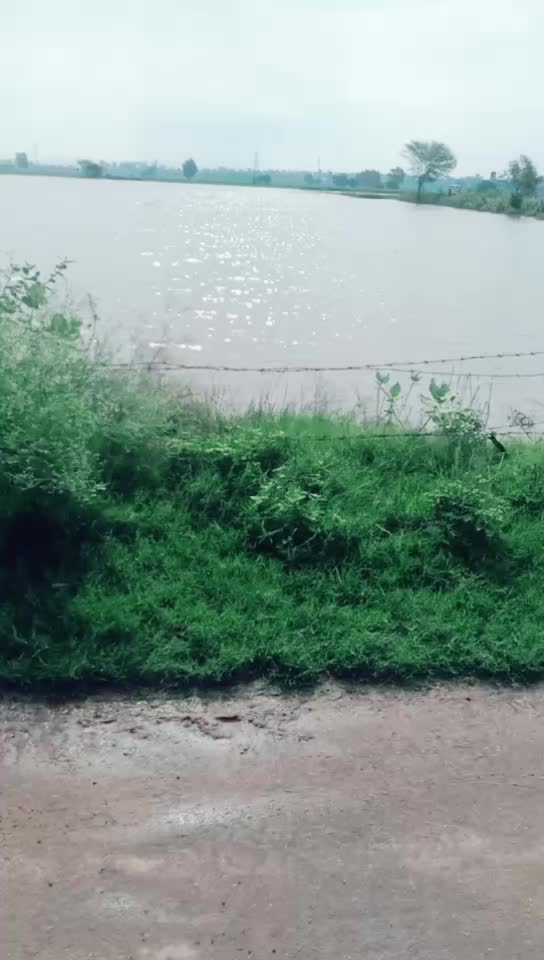 @rahulgill1111111111