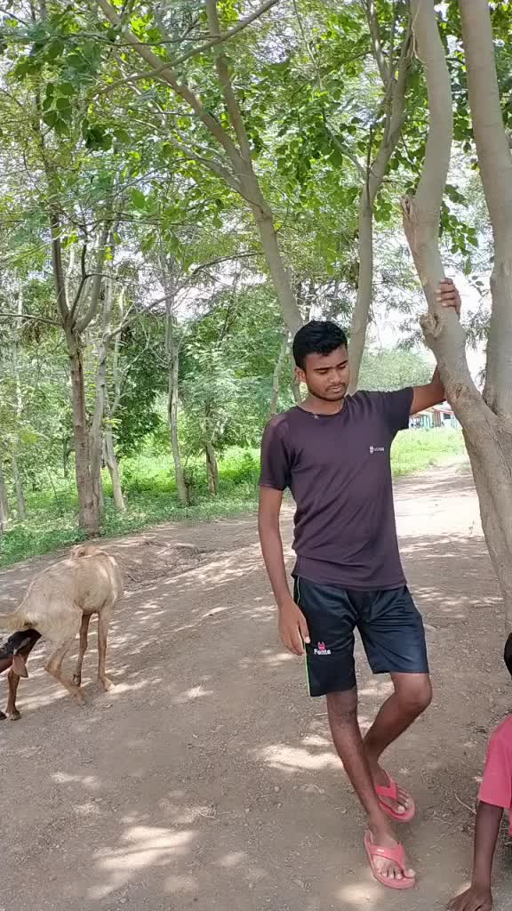 @Rammohan Bawane