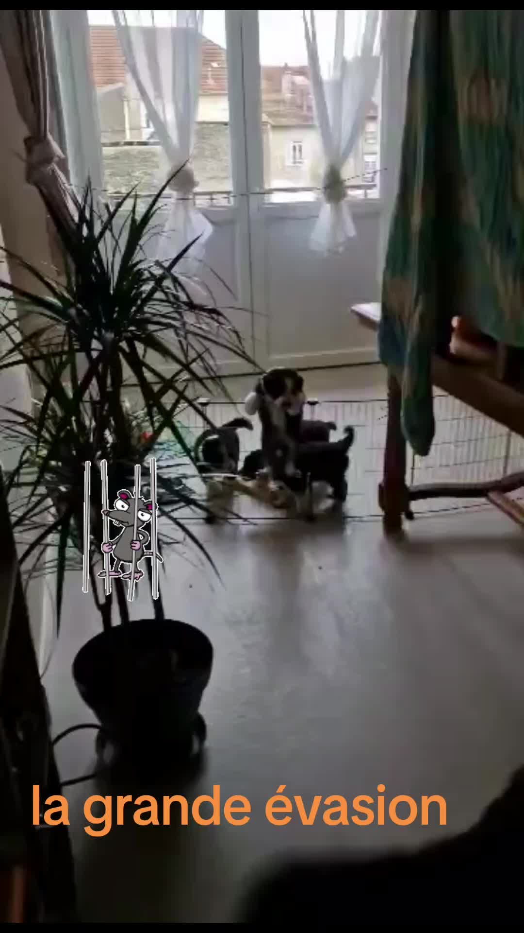 @Marley.0401