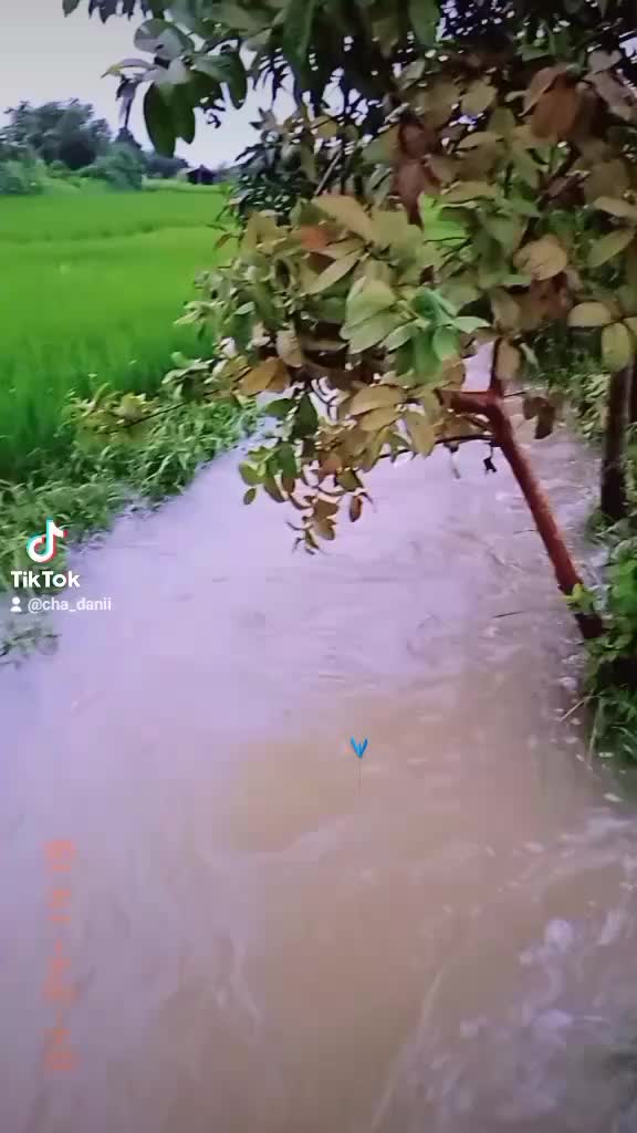 @Cha_DNii