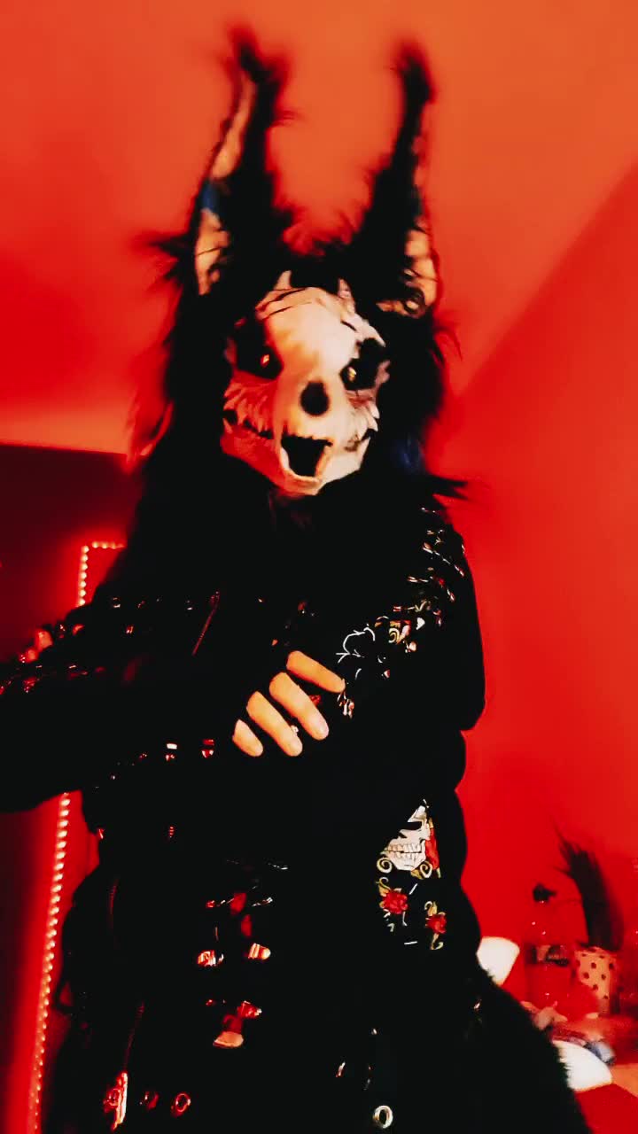 @Kittypantherlion100