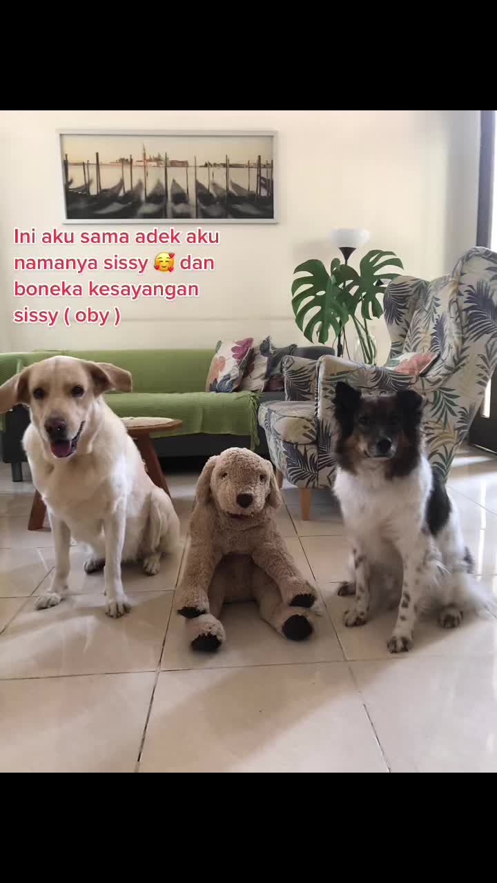 @Boboy.mayday