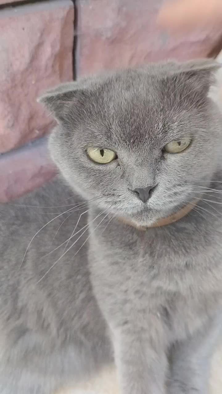 @Егор17к...