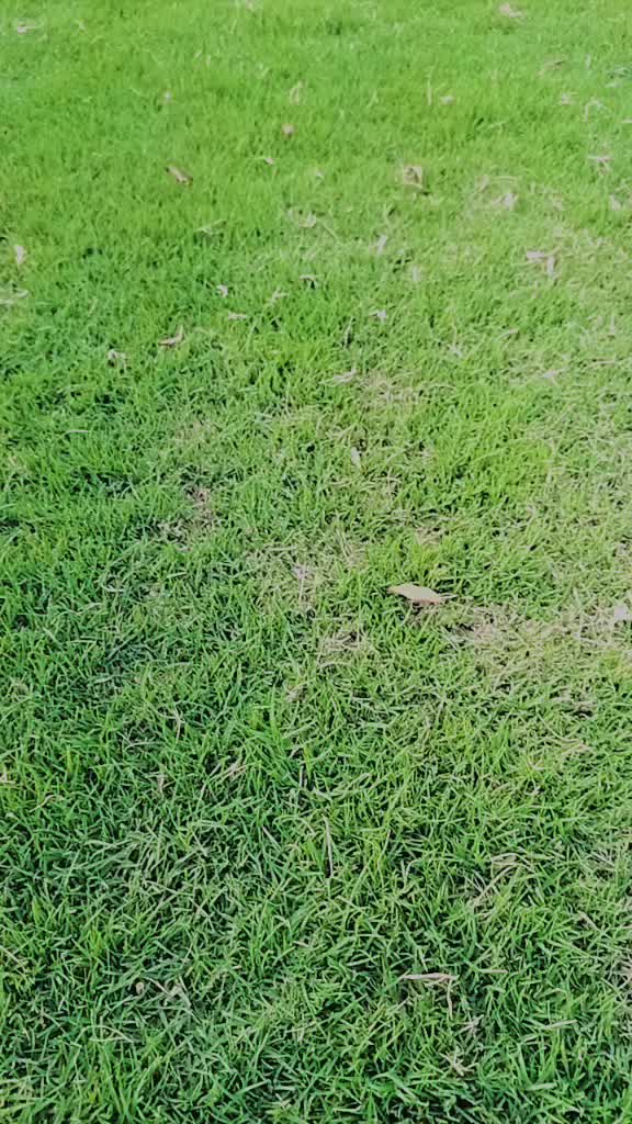 @Imranbani786_2
