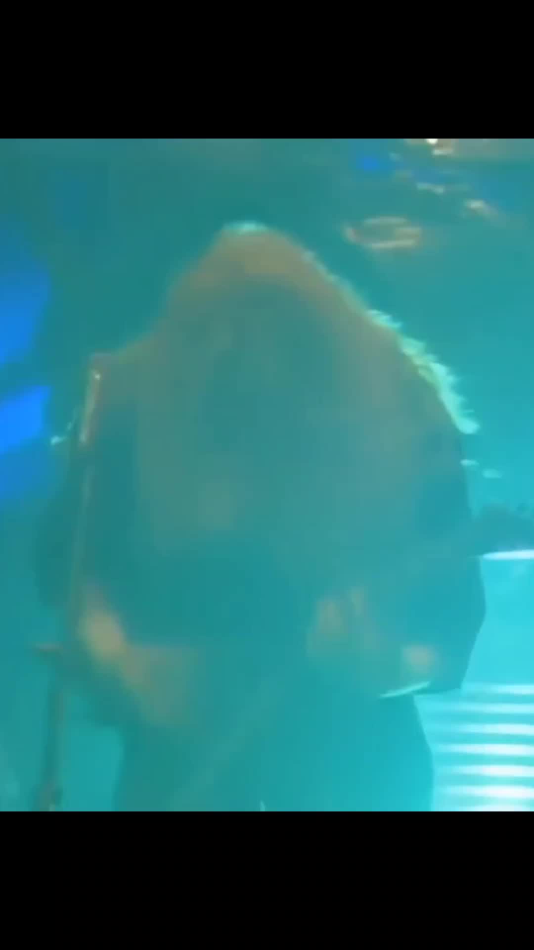 @Musix