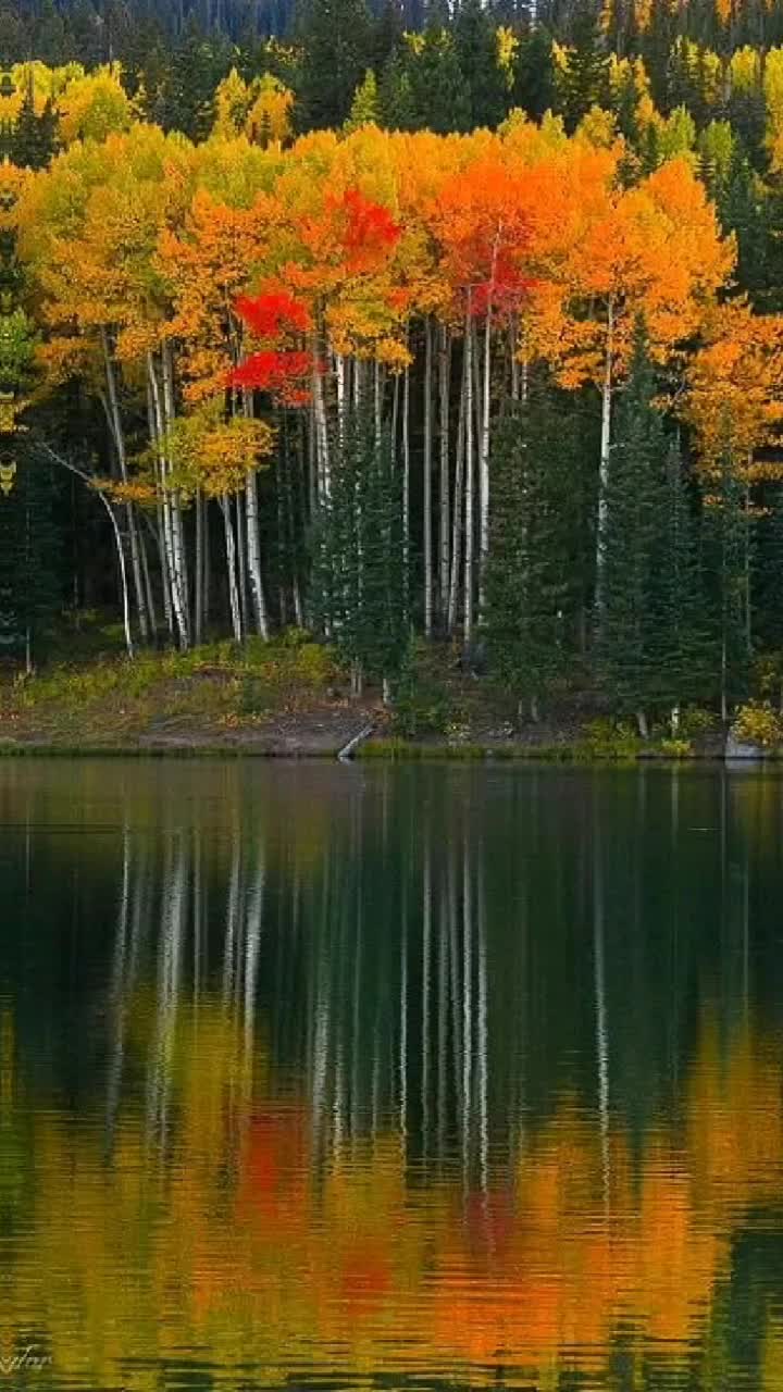 @Mukti Mahato