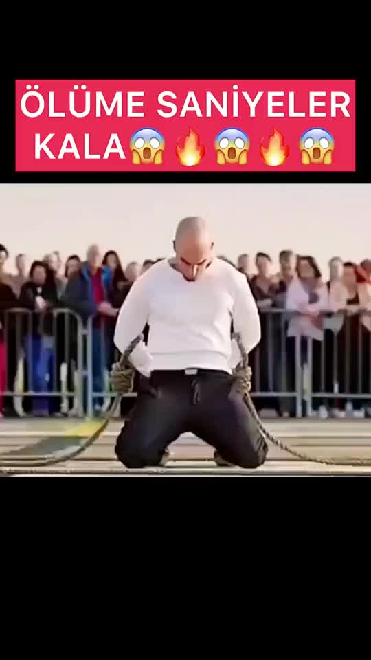 @Halil &ccedil;i&ccedil;ek