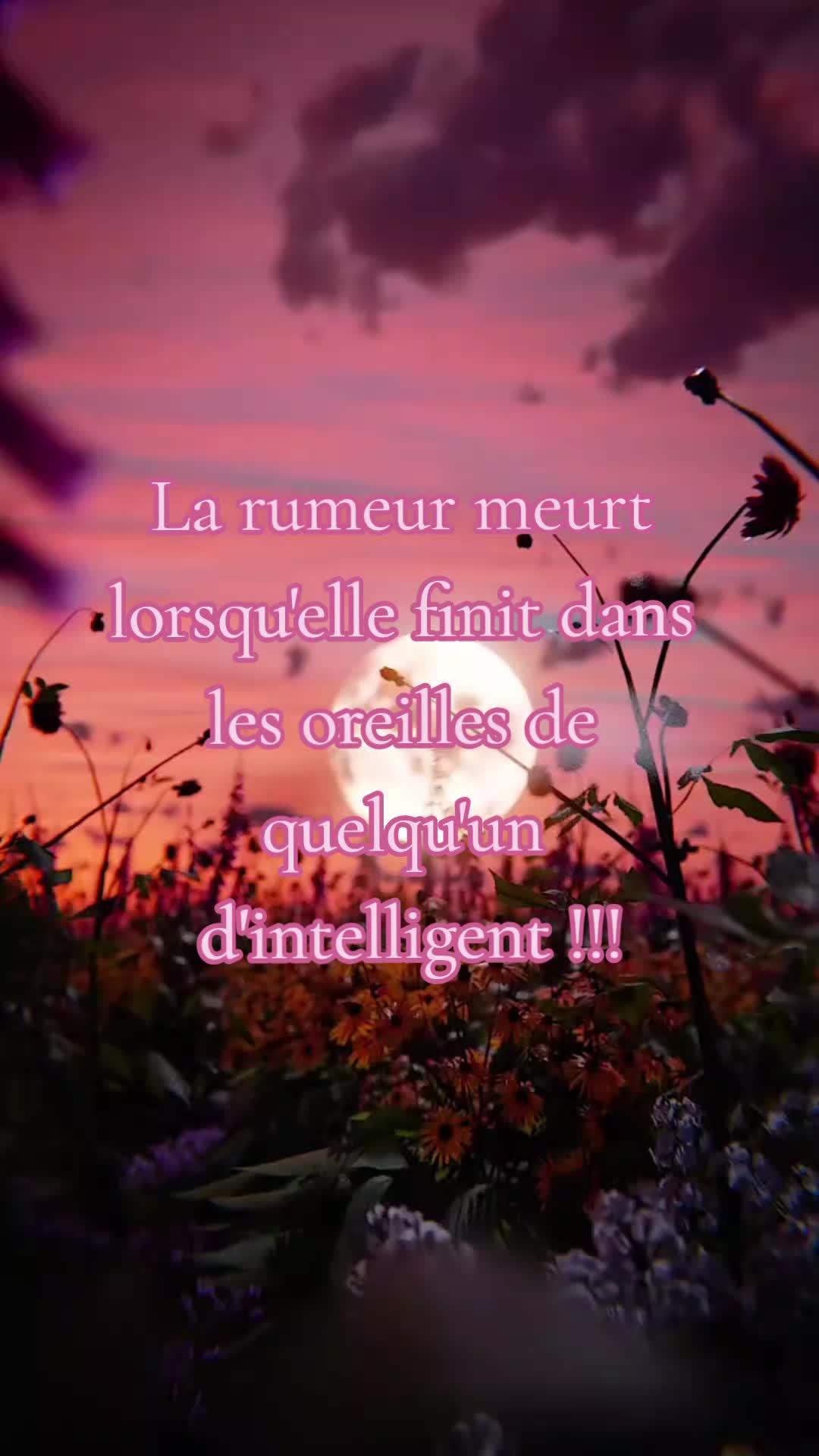 @๐๐ Gwanaëlle ๐๐