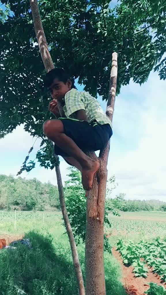 @Shiva Shankarhr
