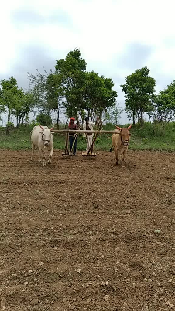 @Vaibhav Vhagade