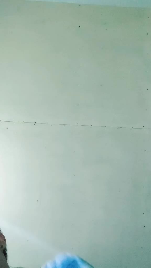 @R A D I T