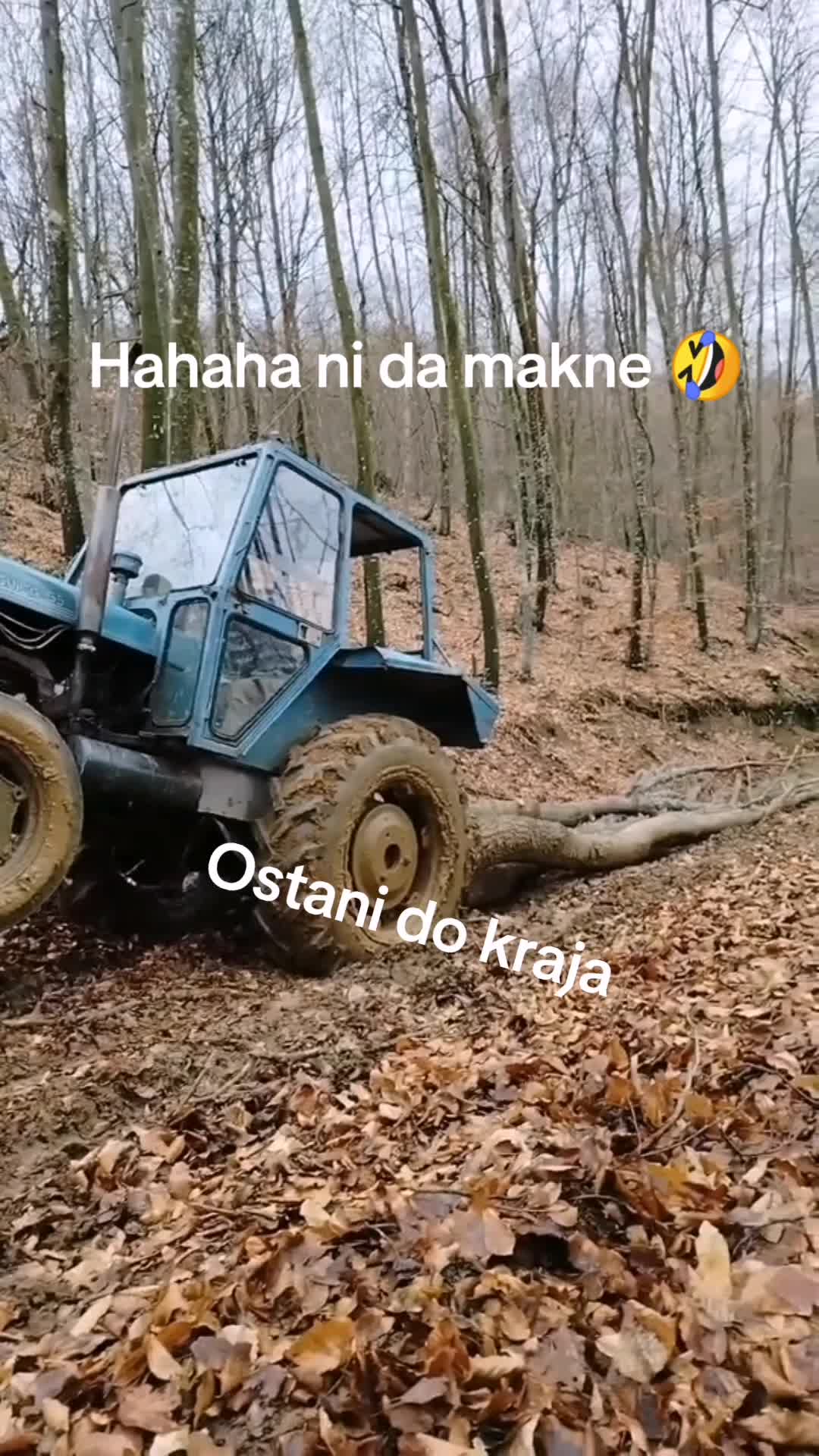 @NIKOLA 05