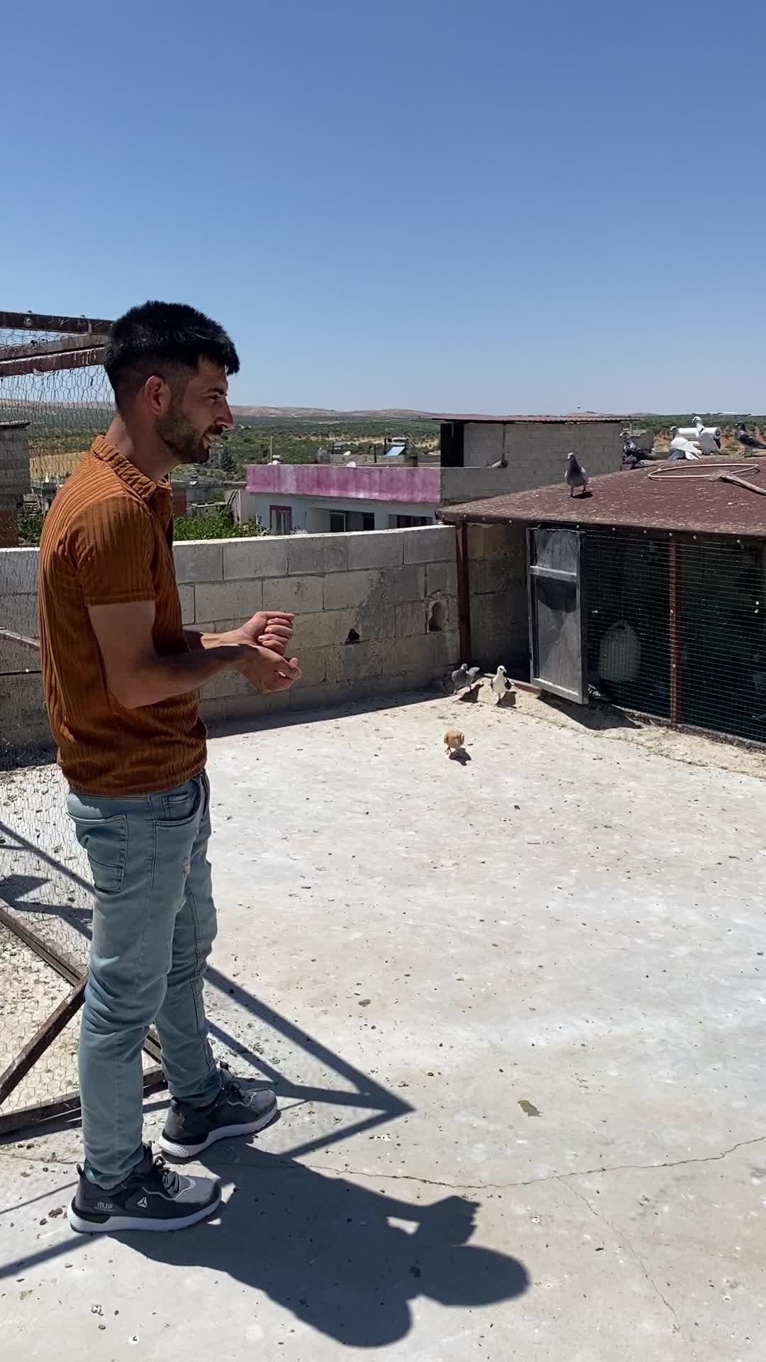 @Serdar kılıç