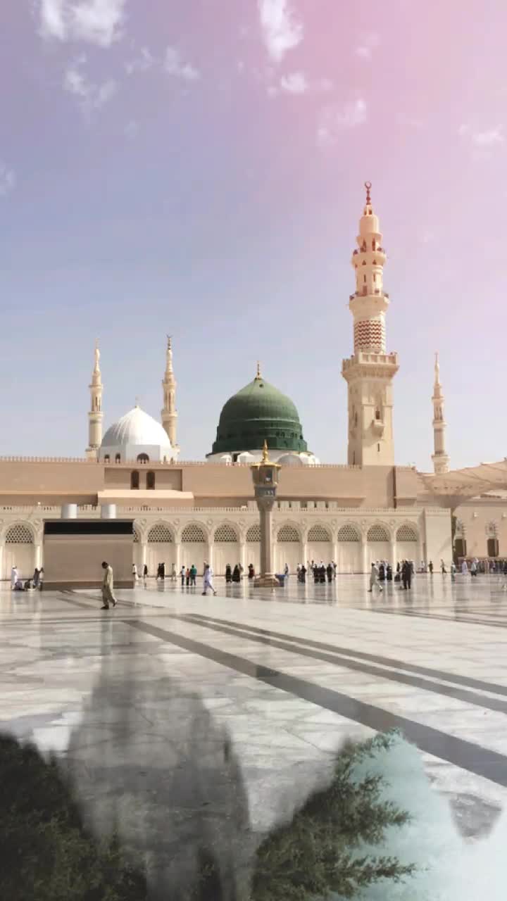 @Mohd _Haseeb