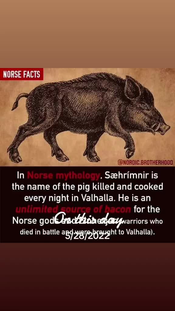 @vikinggododin1