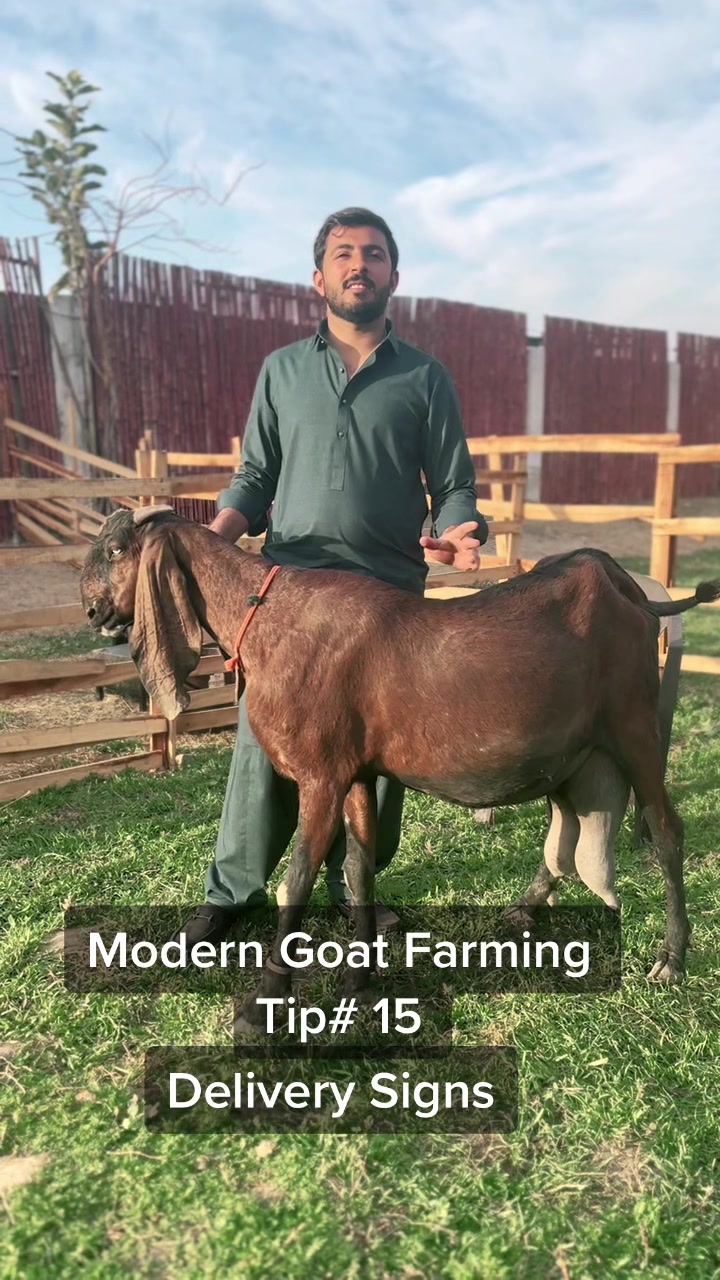 @ZA Farms