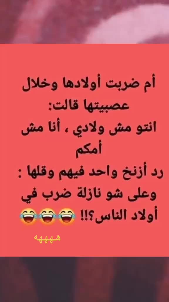 @y.alamer