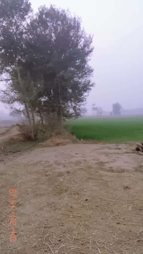 @user4438037745789