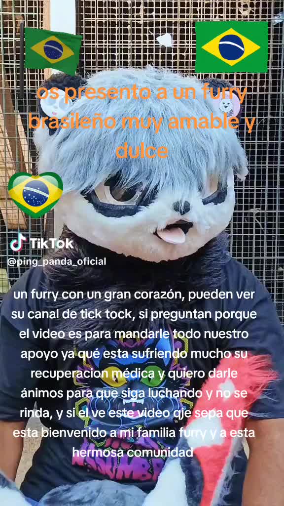 @🐾Kurieta Wolf🐾
