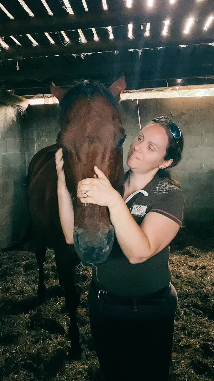 @Ponyclubilgattoelavolpe